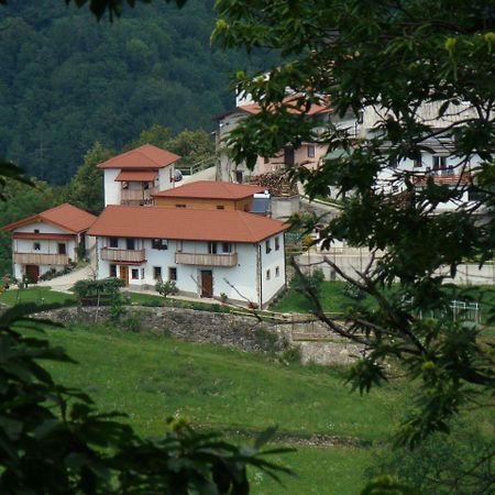 Apartmaji Nena Rocinj Dış mekan fotoğraf