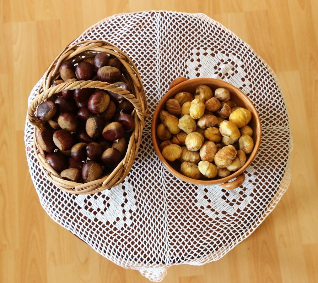 Apartmaji Nena Rocinj Dış mekan fotoğraf