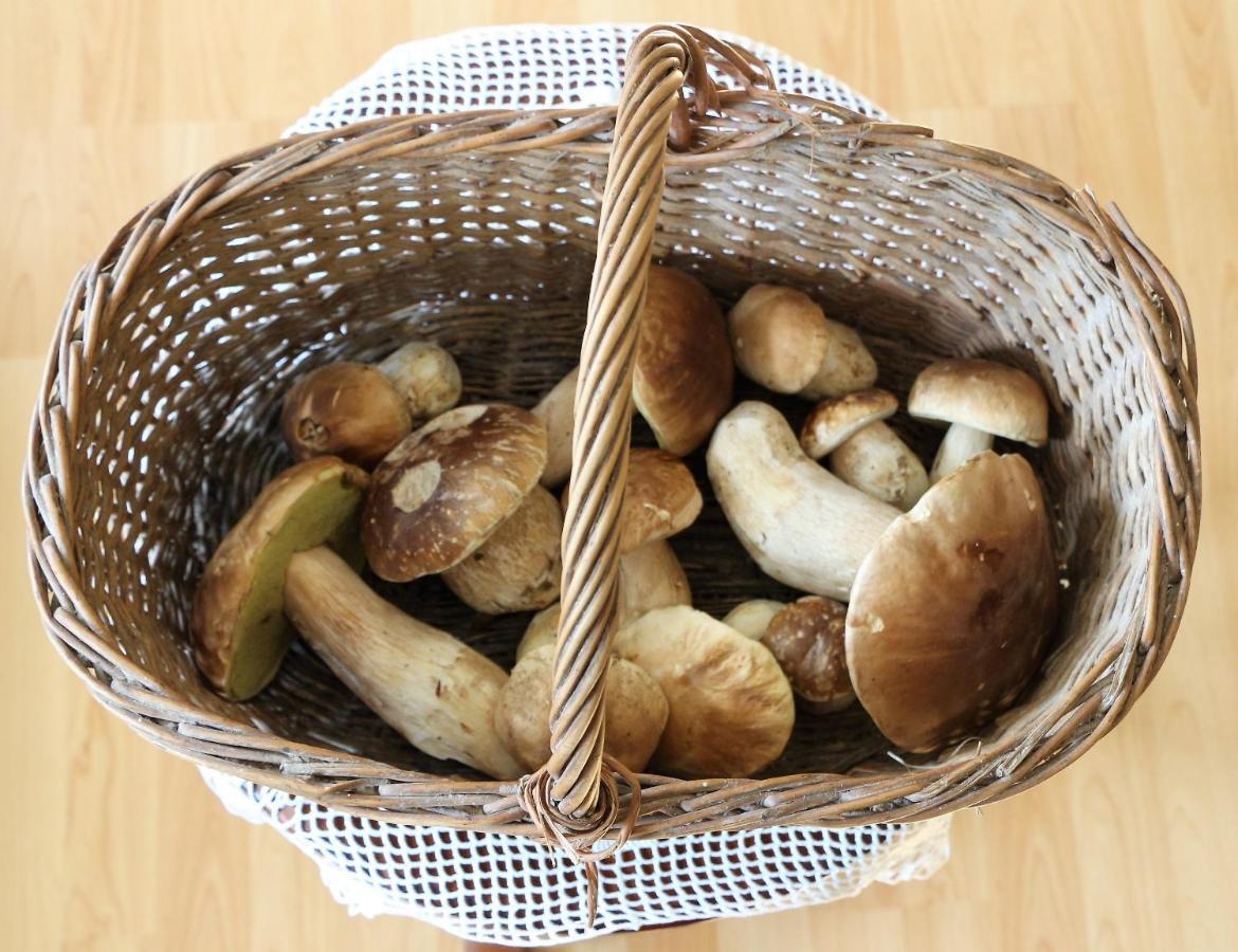 Apartmaji Nena Rocinj Dış mekan fotoğraf